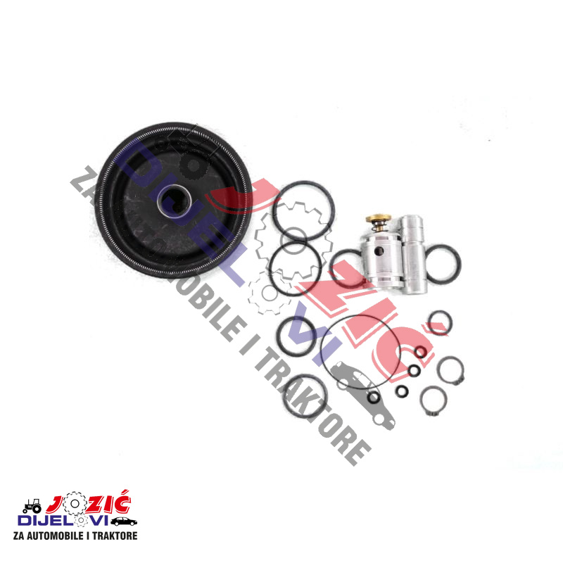 Daisy on the Ohoopee